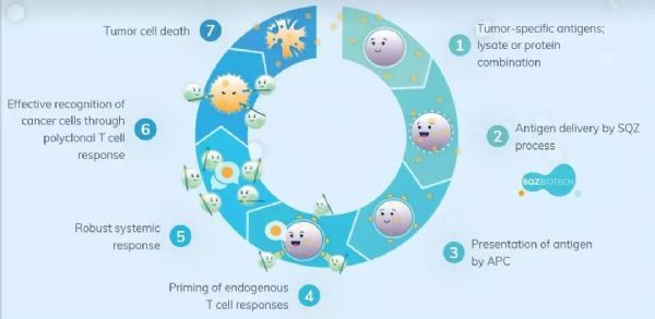 美国生物技术公司SQZ Biotech与罗氏(Roche)宣布扩大