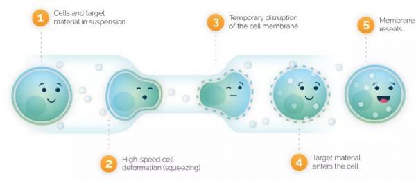 美国生物技术公司SQZ Biotech与罗氏(Roche)宣布扩大